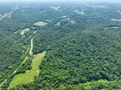 3830 Vernon Creek Road Cunningham TN 37052