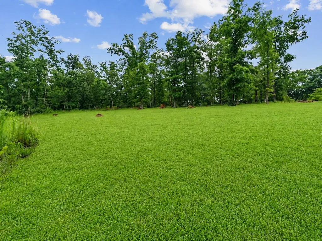 217 Rockhouse Road Hohenwald TN 38462