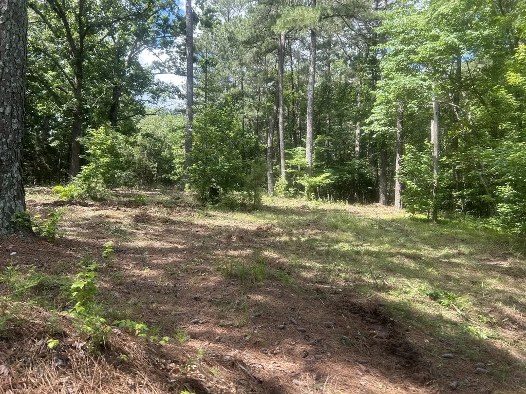 760 Chestnut Hill Road Eva TN 38333