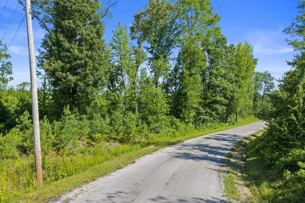 0 Coxburg Road N Holladay TN 38341