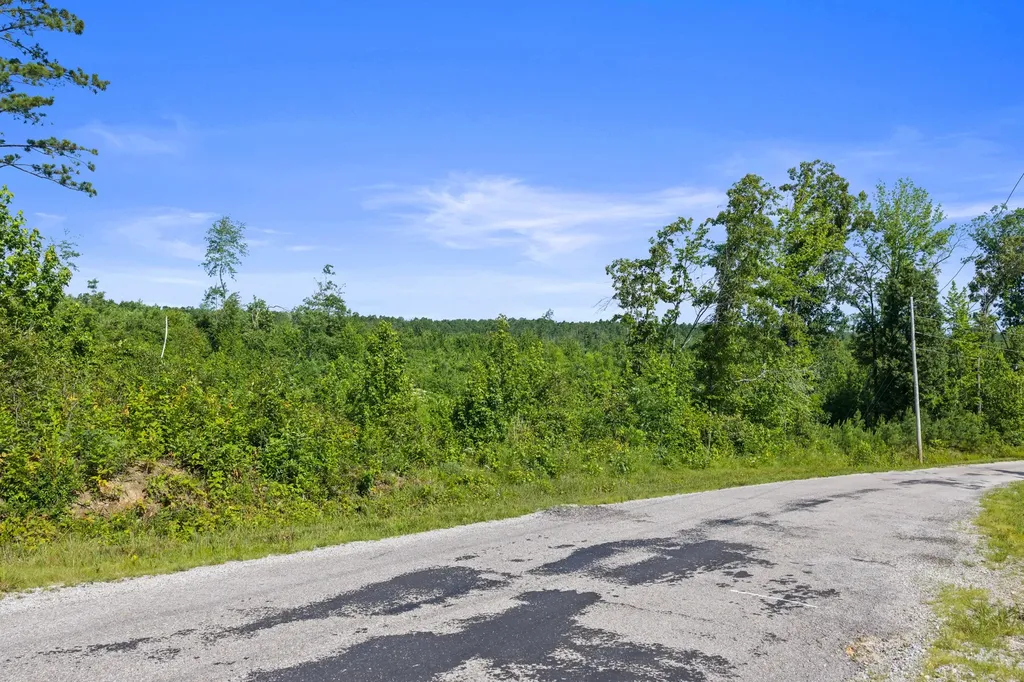 0 Coxburg Road N Holladay TN 38341