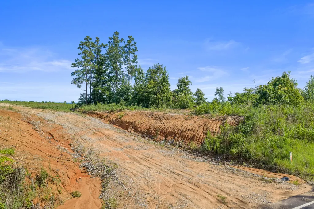 0 Coxburg Road N Holladay TN 38341