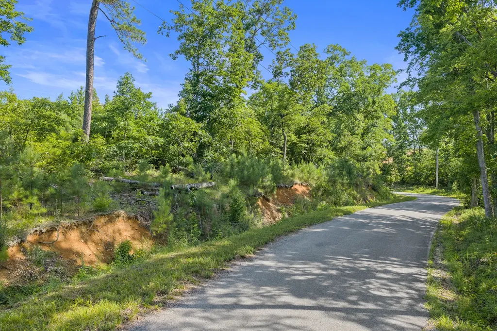 0 Coxburg Road N Holladay TN 38341