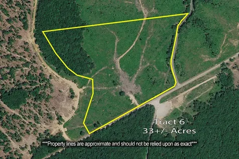 0 Coxburg Road N Holladay TN 38341
