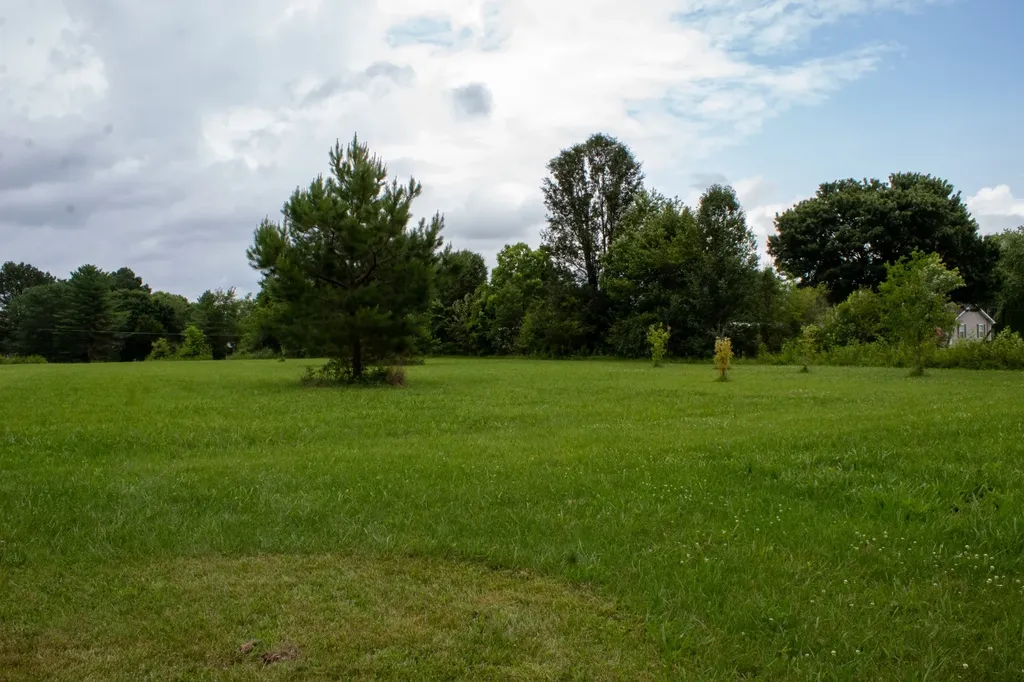 137 James Robert Lane Manchester TN 37355