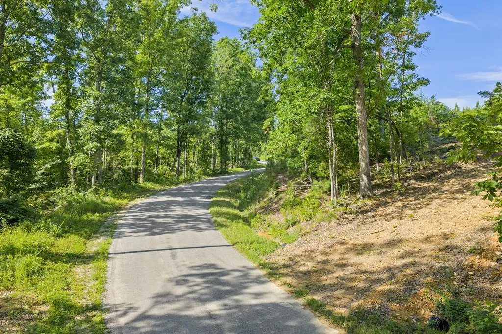 0 Coxburg Road N Holladay TN 38341