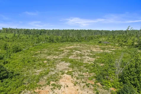 0 Coxburg Road N Holladay TN 38341
