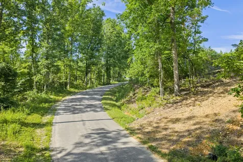 0 Coxburg Road N Holladay TN 38341