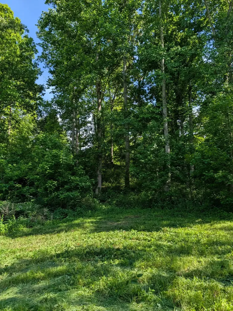 4563 Cumberland City Road Indian Mound TN 37079