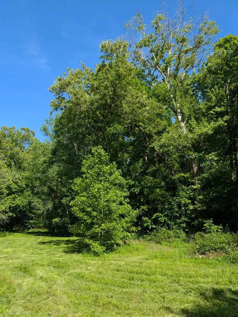 4563 Cumberland City Road Indian Mound TN 37079