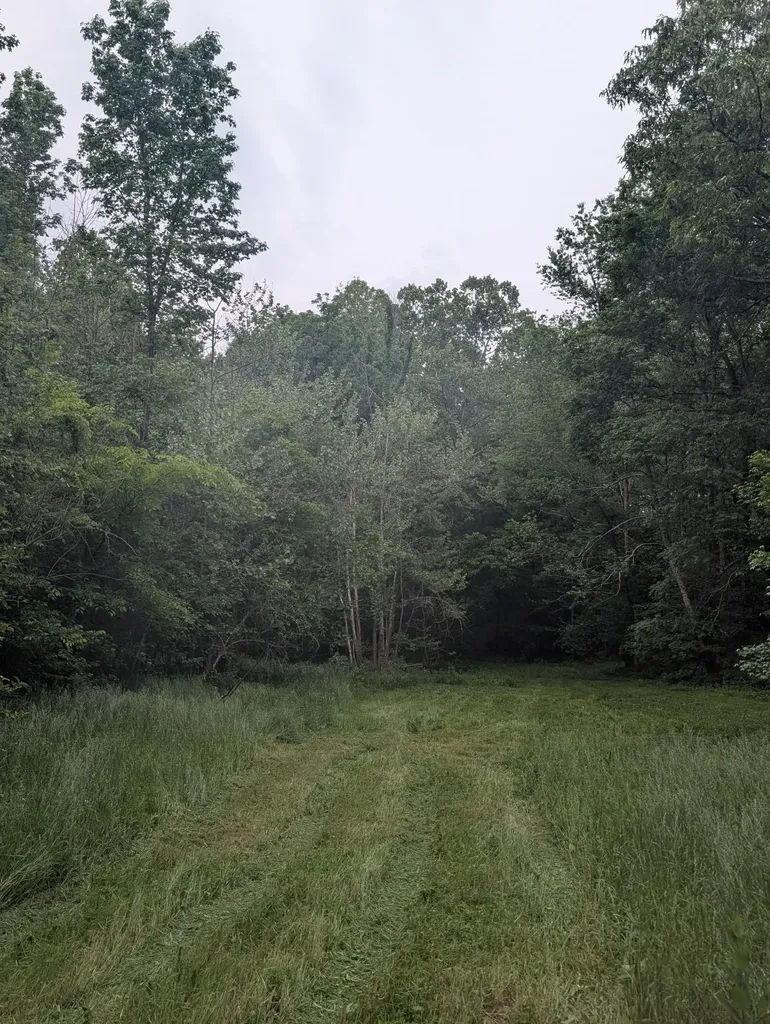4563 Cumberland City Road Indian Mound TN 37079
