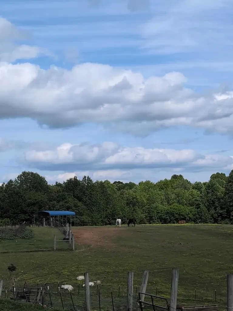 4563 Cumberland City Road Indian Mound TN 37079