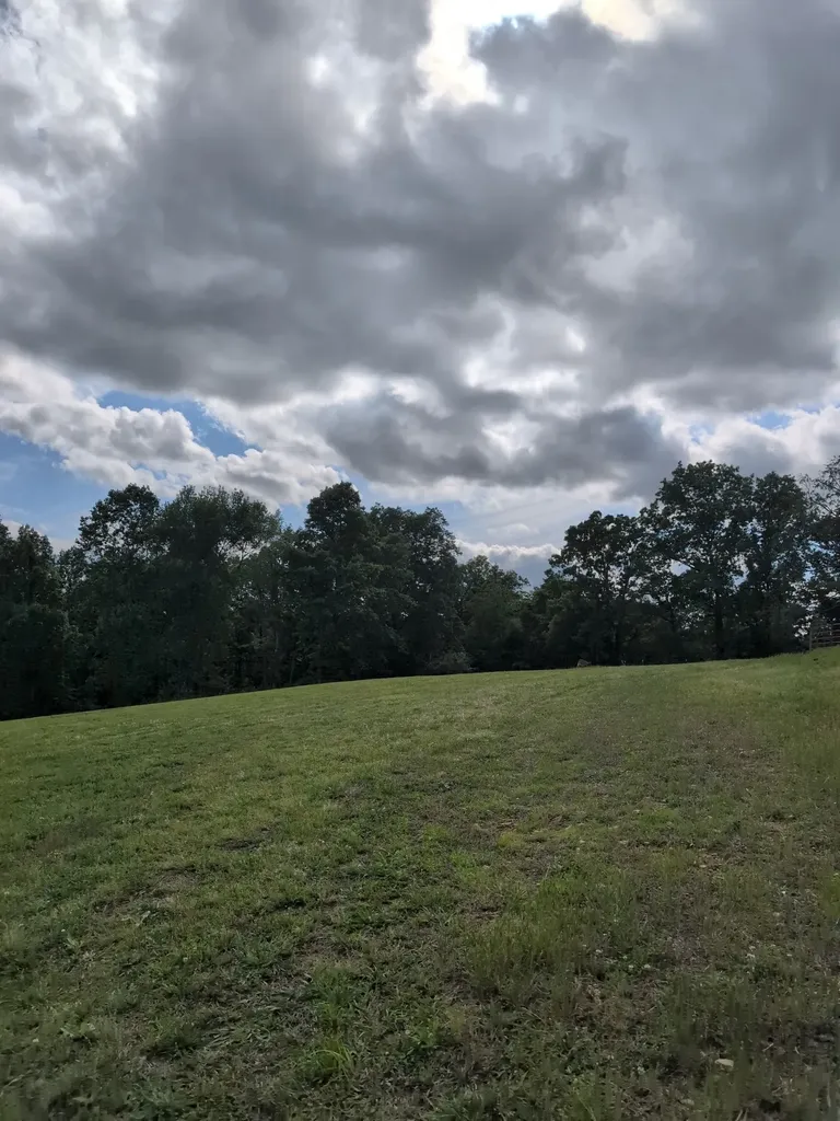 4563 Cumberland City Road Indian Mound TN 37079