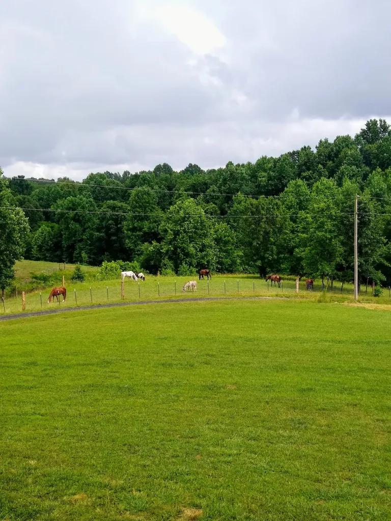 4563 Cumberland City Road Indian Mound TN 37079