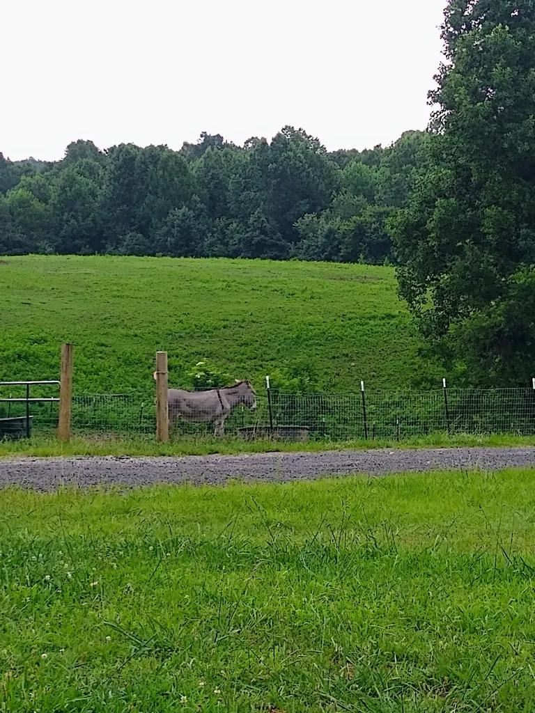 4563 Cumberland City Road Indian Mound TN 37079