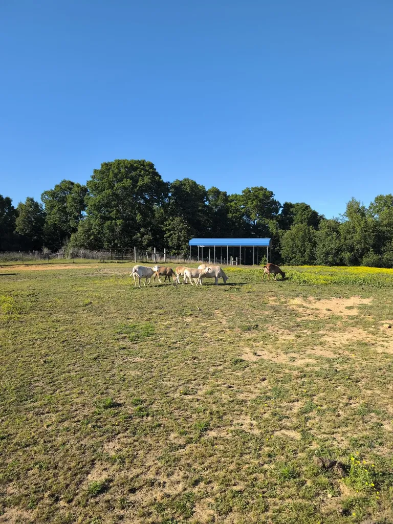 4563 Cumberland City Road Indian Mound TN 37079