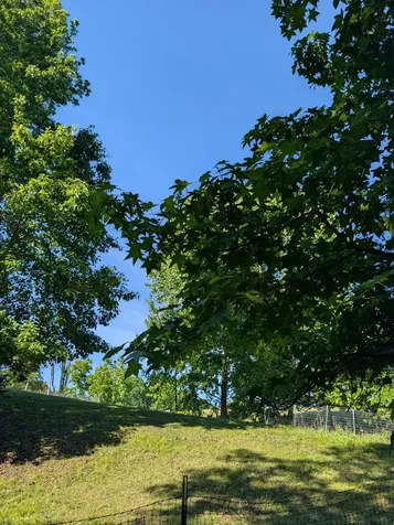 4563 Cumberland City Road Indian Mound TN 37079