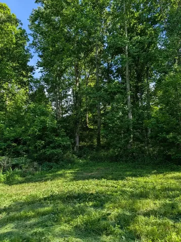4563 Cumberland City Road Indian Mound TN 37079