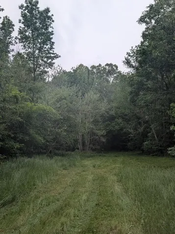 4563 Cumberland City Road Indian Mound TN 37079
