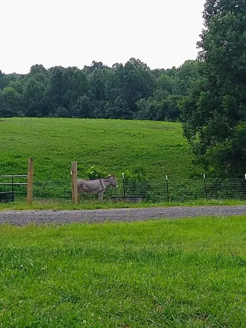 4563 Cumberland City Road Indian Mound TN 37079