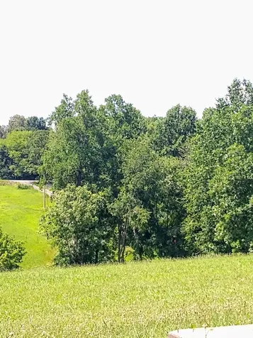4563 Cumberland City Road Indian Mound TN 37079