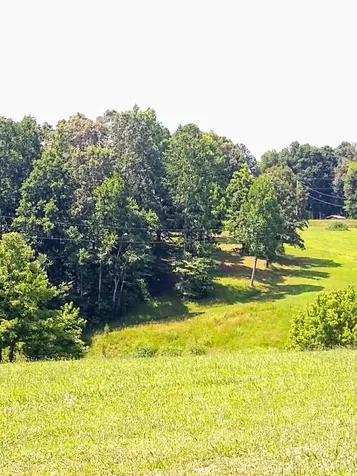 4563 Cumberland City Road Indian Mound TN 37079