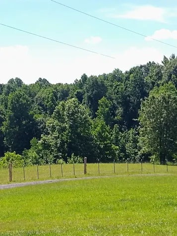 4563 Cumberland City Road Indian Mound TN 37079