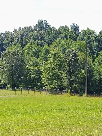 4563 Cumberland City Road Indian Mound TN 37079