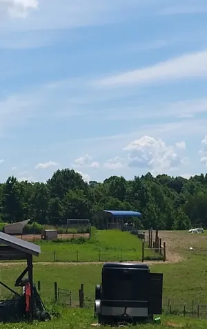 4563 Cumberland City Road Indian Mound TN 37079