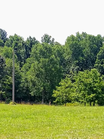 4563 Cumberland City Road Indian Mound TN 37079