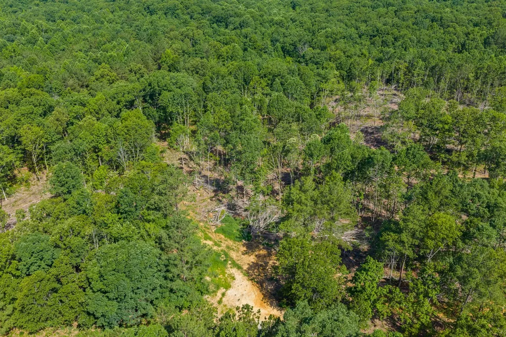 0 Rockport Mcillwain Road Holladay TN 38341