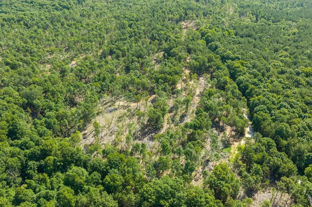 0 Rockport Mcillwain Road Holladay TN 38341