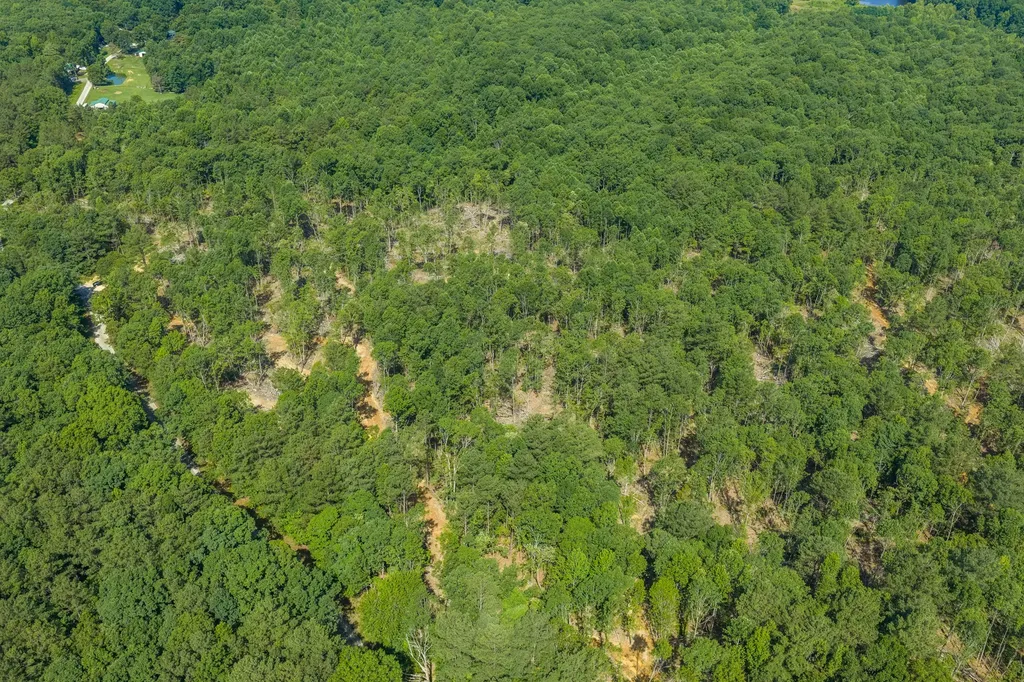 0 Rockport Mcillwain Road Holladay TN 38341