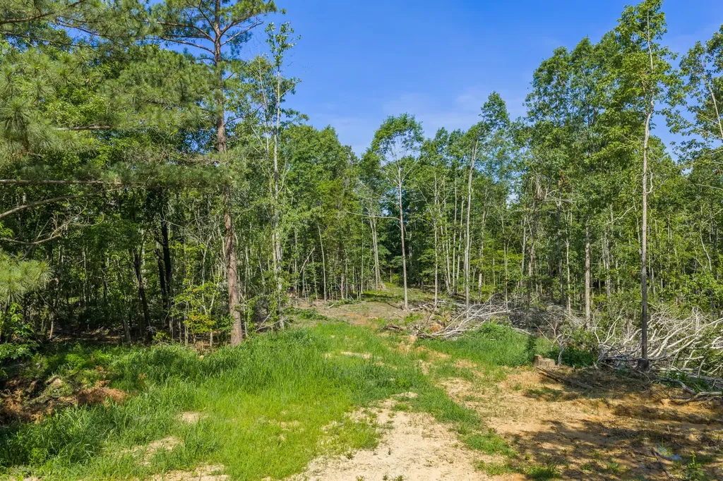 0 Rockport Mcillwain Road Holladay TN 38341