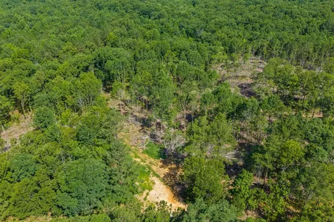 0 Rockport Mcillwain Road Holladay TN 38341