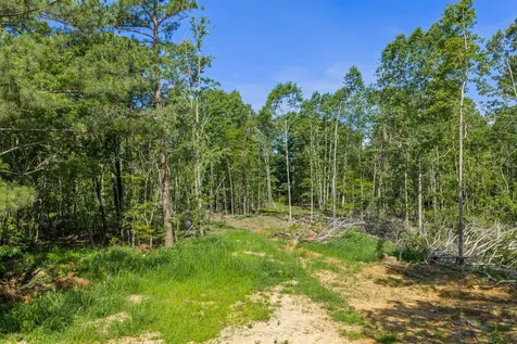 0 Rockport Mcillwain Road Holladay TN 38341