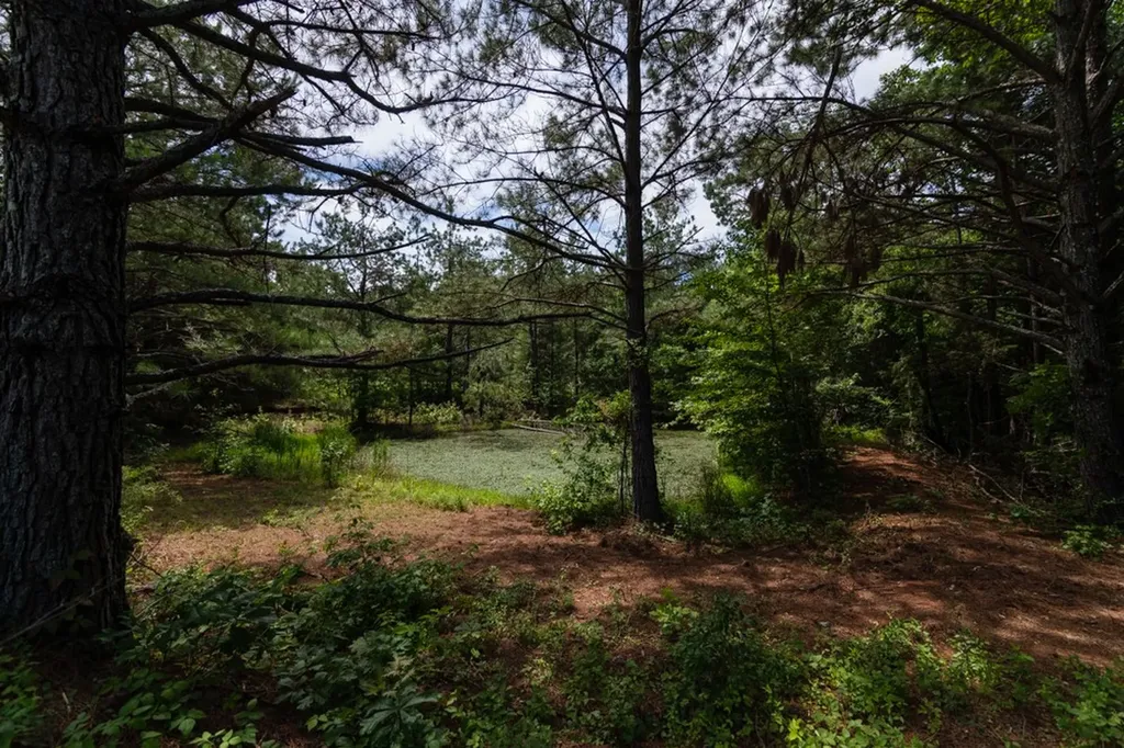 7636 Liberty Road Scotts Hill TN 38374