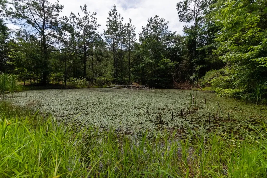 7636 Liberty Road Scotts Hill TN 38374