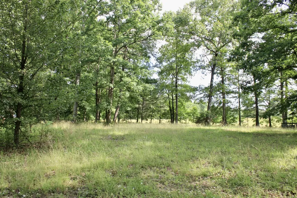 250 Clifford Dykes Road Tracy City TN 37387