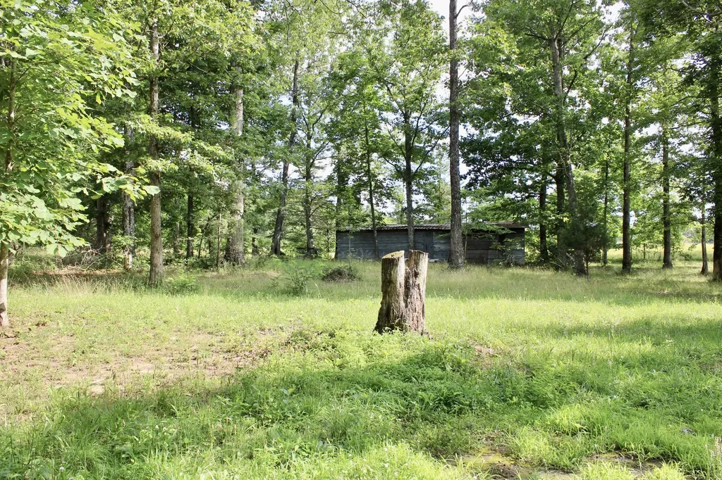 250 Clifford Dykes Road Tracy City TN 37387