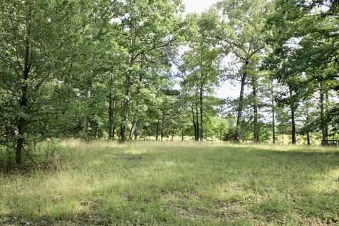 250 Clifford Dykes Road Tracy City TN 37387