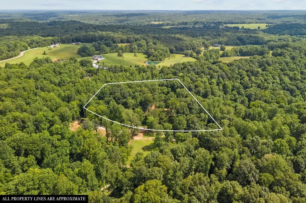 899 Little Leatherwood Road Vanleer TN 37181