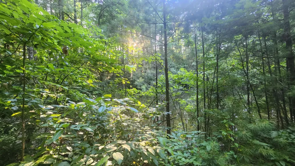 0 Tumbling Creek Road Copperhill TN 37317