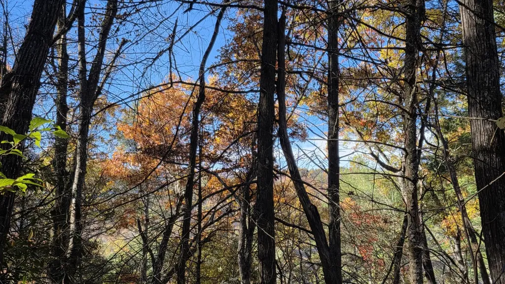 0 Tumbling Creek Road Copperhill TN 37317