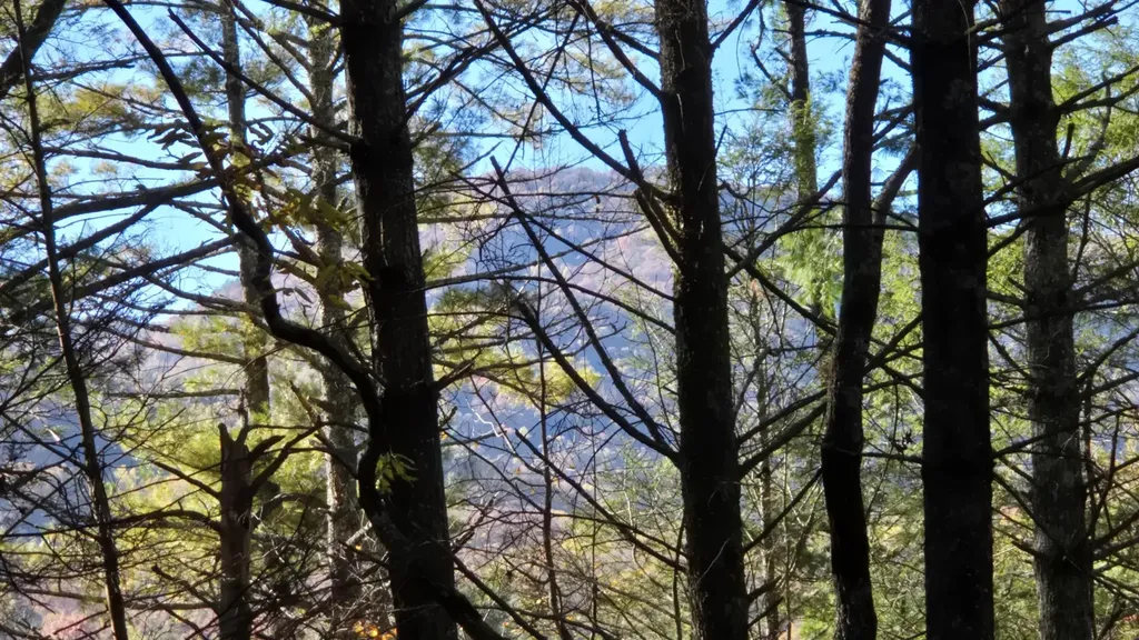 0 Tumbling Creek Road Copperhill TN 37317