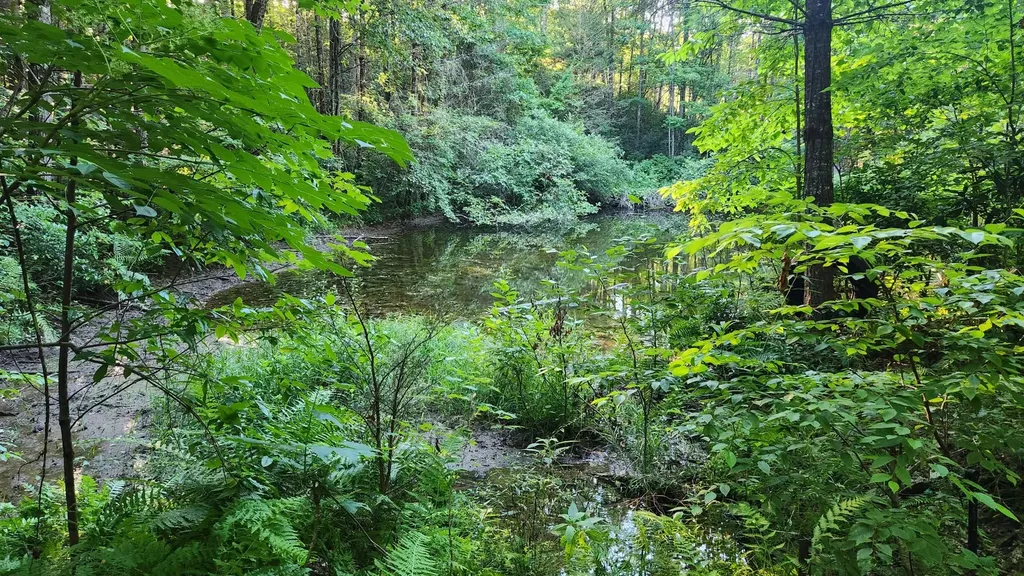 0 Tumbling Creek Road Copperhill TN 37317