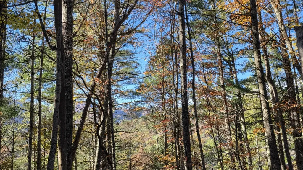 0 Tumbling Creek Road Copperhill TN 37317