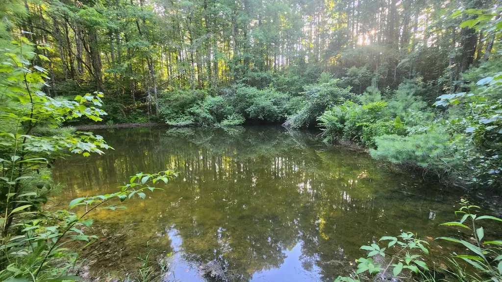 0 Tumbling Creek Road Copperhill TN 37317