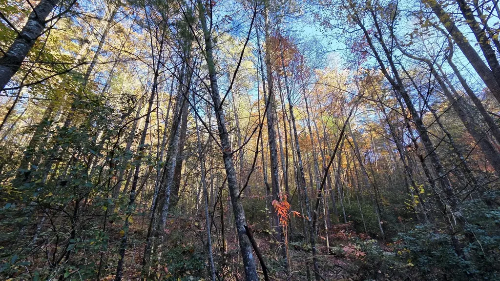 0 Tumbling Creek Road Copperhill TN 37317