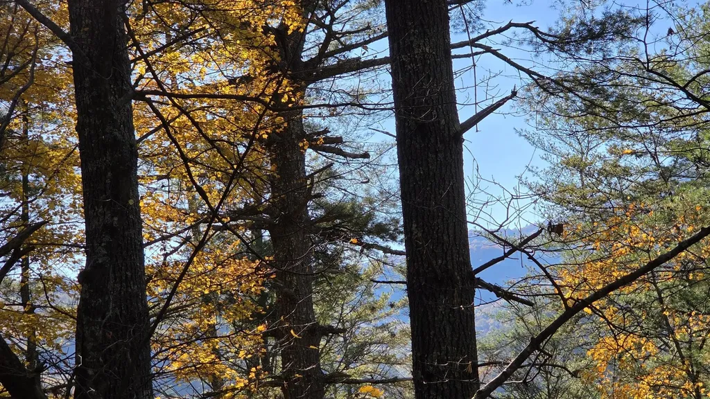 0 Tumbling Creek Road Copperhill TN 37317
